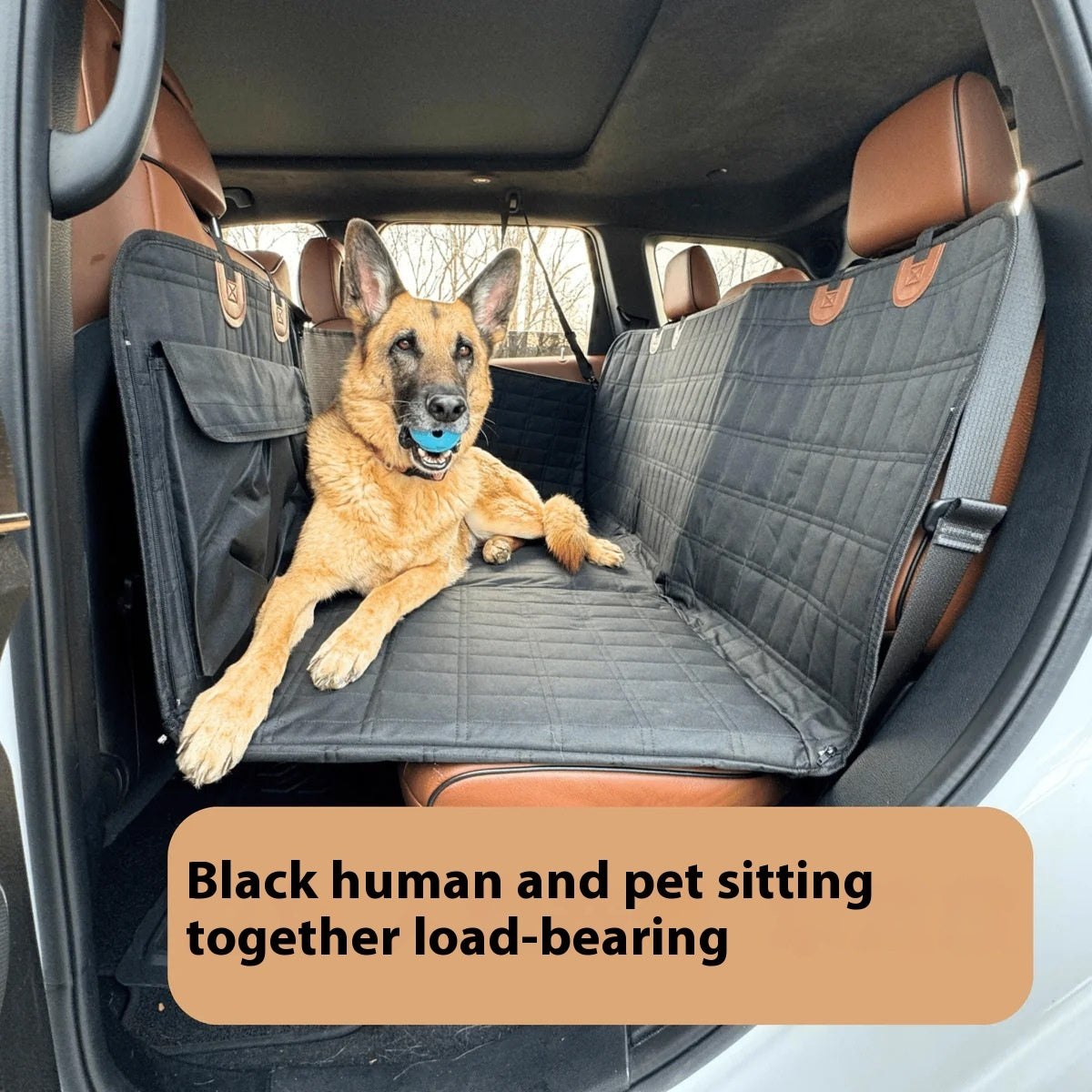 Dog Car Seat Cover